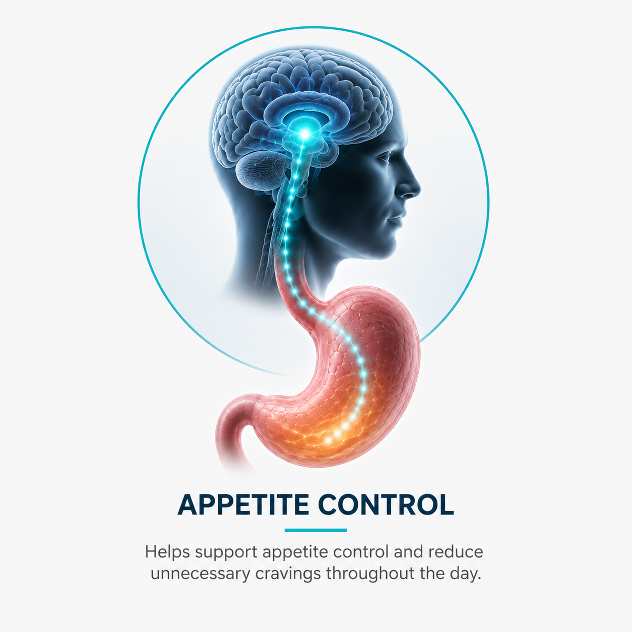 GLPro appetite control mechanism